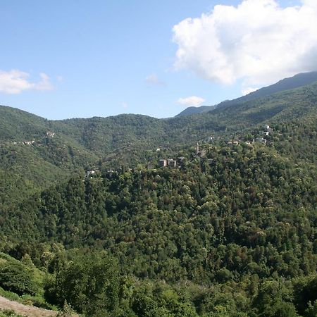 Le Refuge Orezza Piedicroce  Szoba fotó