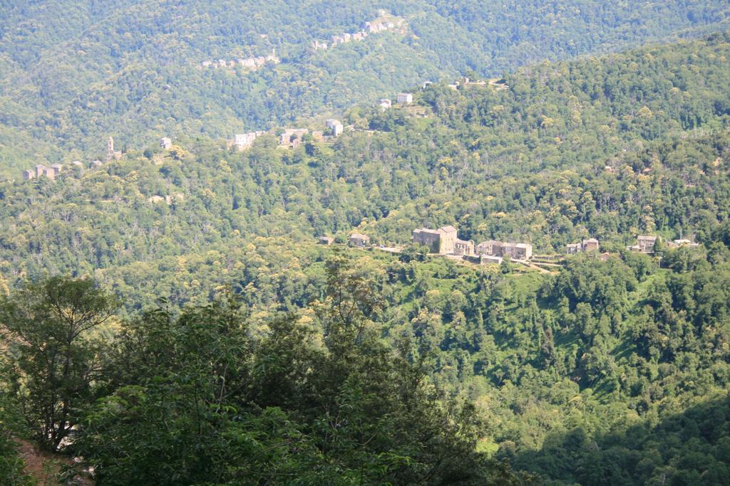 Le Refuge Orezza Piedicroce  Kültér fotó